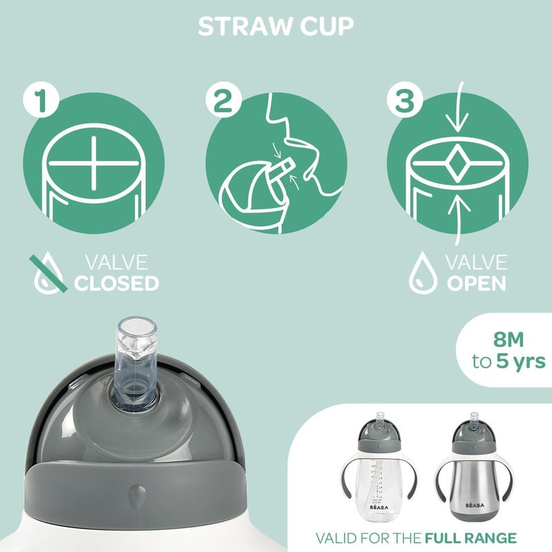 Baba Beaba Stainless Steel Straw Sippy Cup, Insulated Toddler Cups Spill Proof with Removable Handles, Made with High Grade Stainless Steel, 8+ months, 8.5 oz Terracotta - Image 4